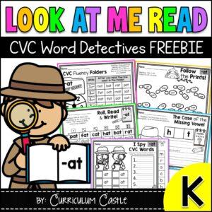 FREE CVC -at Word Family