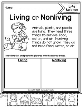 Reading Comprehension Passages: LIFE SCIENCE Edition - Image 2