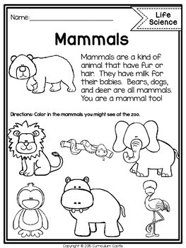Reading Comprehension Passages: LIFE SCIENCE Edition - Image 3