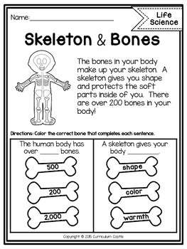 Reading Comprehension Passages: LIFE SCIENCE Edition - Image 4