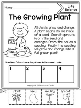 Reading Comprehension: LIFE, EARTH & PHYSICAL SCIENCE BUNDLE - Image 2