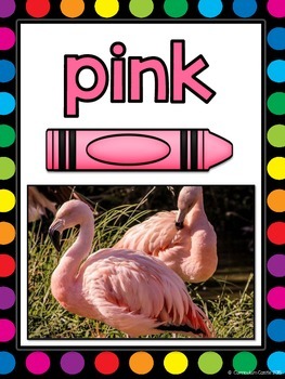 Color Posters {Rainbow Dots & Animal Theme} - Image 4