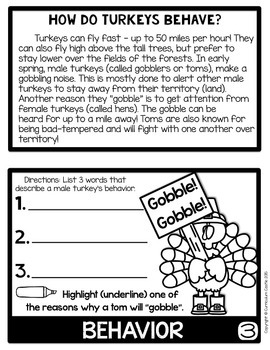 Turkeys Flip Book {Reading Comprehension & Craft} - Image 3