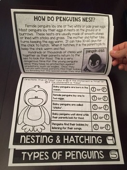 Penguins Flip Book {Reading Comprehension & Craft} - Image 3