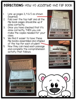 Polar Bears Flip Book {Reading Comprehension & Craft} - Image 2