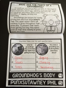 Groundhog Day Flip Book {Reading Comprehension & Craft} - Image 3