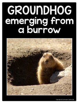 Groundhog Day Flip Book {Reading Comprehension & Craft} - Image 4