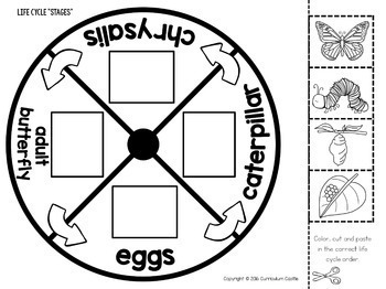 Life Cycle Interactive Wheels for the Year! - Image 3