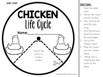 FREE Chicken Life Cycle Interactive Wheel Craft - Image 3