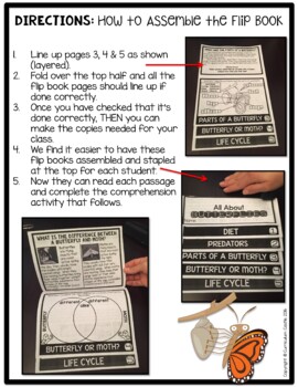Butterflies & Butterfly Life Cycle Flip Book {Reading Comprehension & Craft} - Image 2