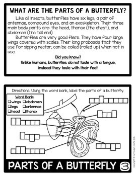 Butterflies & Butterfly Life Cycle Flip Book {Reading Comprehension & Craft} - Image 3
