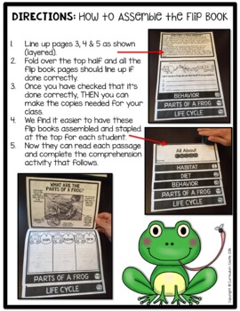 Frogs & Frog Life Cycle Flip Book {Reading Comprehension & Craft} - Image 2