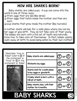 Sharks Flip Book {Reading Comprehension & Craft} - Image 3