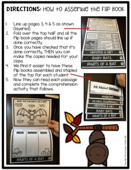 Bats Flip Book {Reading Comprehension & Craft} - Image 2