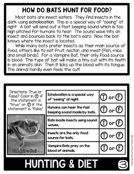Bats Flip Book {Reading Comprehension & Craft} - Image 3