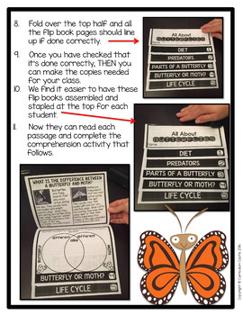 Animal Flip Book BUNDLE {Reading Comprehension & Craft} - Image 3