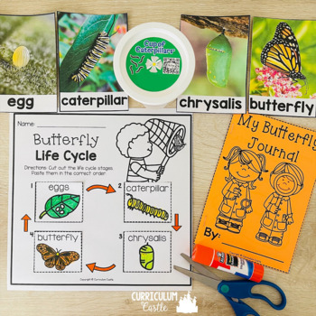 Butterfly Life Cycle Investigation - Image 4