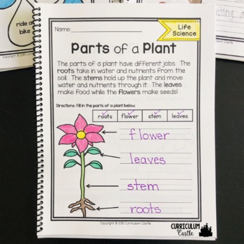 Reading Comprehension MEGA BUNDLE: SCIENCE & SOCIAL STUDIES - Image 3