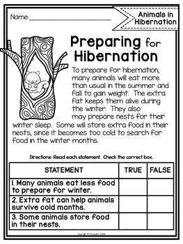Hibernation: Animals in Winter - Image 3