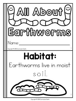 Worm Science Investigation Unit - Image 2