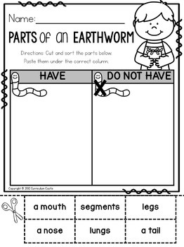 Worm Science Investigation Unit - Image 4