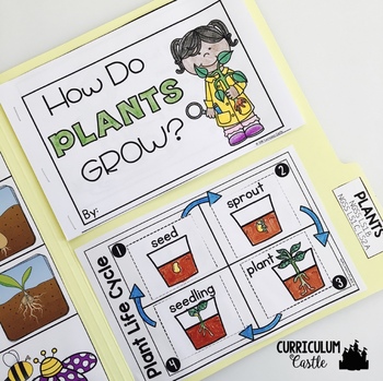 Plant Life Cycle & Needs Science Activities Folder - Image 3