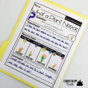 Plant Life Cycle & Needs Science Activities Folder - Image 4