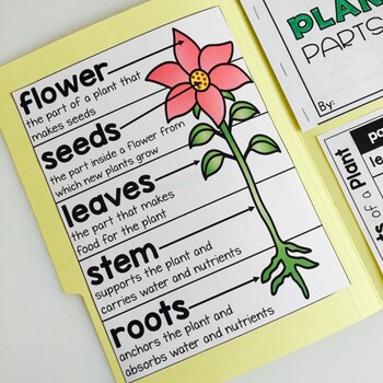 Parts of a Plant Science Activities Folder - Image 2
