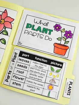 Parts of a Plant Science Activities Folder - Image 3