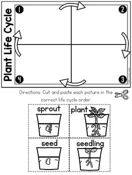 Plant Parts, Life Cycle & Needs Science Activities Folder BUNDLE - Image 3