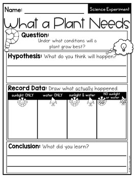 Plant Parts, Life Cycle & Needs Science Activities Folder BUNDLE - Image 4