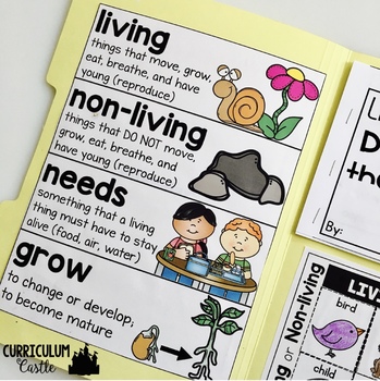 Living vs. Non-living Science Activities Folder - Image 2