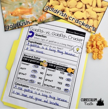 Living vs. Non-living Science Activities Folder - Image 4