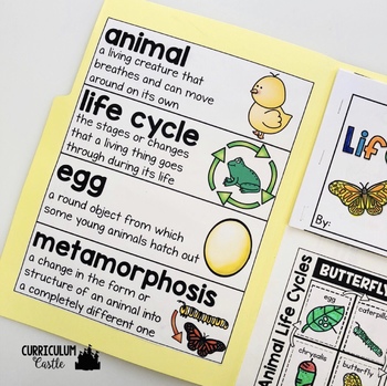 Animal Life Cycles Activities Folder - Image 2