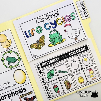 Animal Life Cycles Activities Folder - Image 3