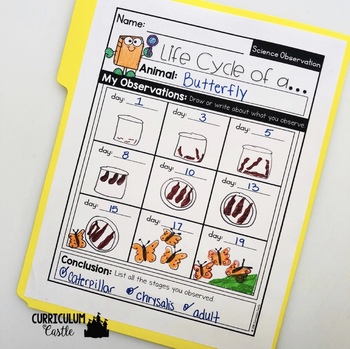 Animal Life Cycles Activities Folder - Image 4