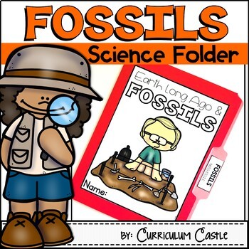 Fossils Science Activities Folder - CURRICULUM CASTLE