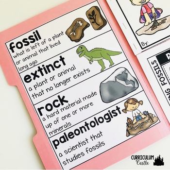 Fossils Science Activities Folder - Image 2