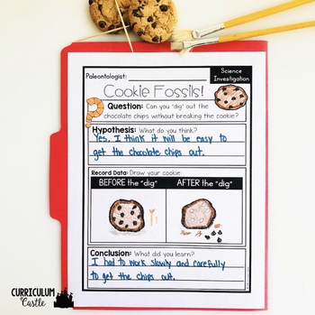 Fossils Science Activities Folder - Image 4