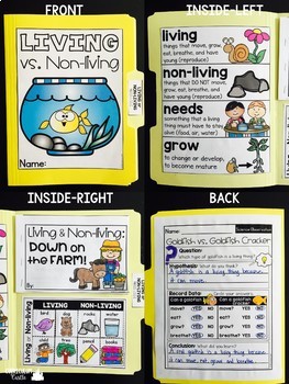 LIFE, EARTH & PHYSICAL SCIENCE Activities Folder MEGA BUNDLE - Image 2