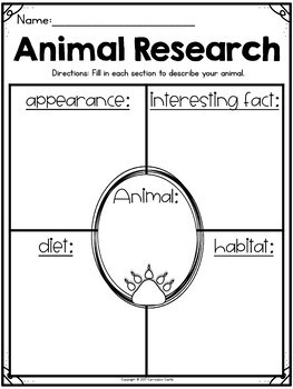 Animal Reports - Image 2