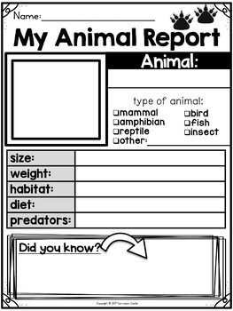 Animal Reports - Image 3