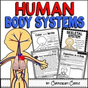 Human Body Systems Activities