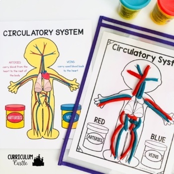 Human Body Systems Activities - Image 3