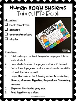 FREE Human Body Systems Tabbed Flip Book - Image 2