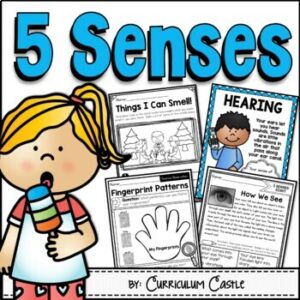 Five Senses Activities