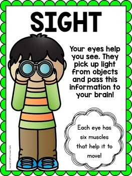 Five Senses Activities - Image 2