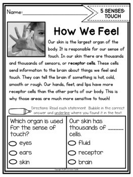 Five Senses Activities - Image 4