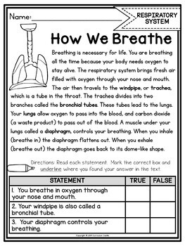 Five Senses & Human Body Systems Activities BUNDLE - Image 4