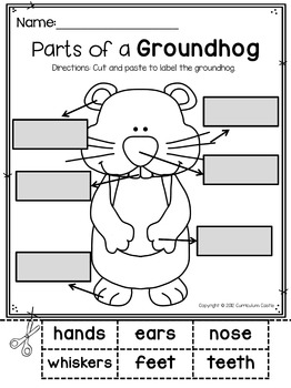 Groundhog Day Activities - Image 4